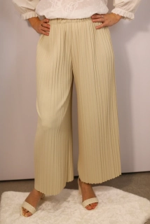 Dámské trendy plisované kalhoty 
